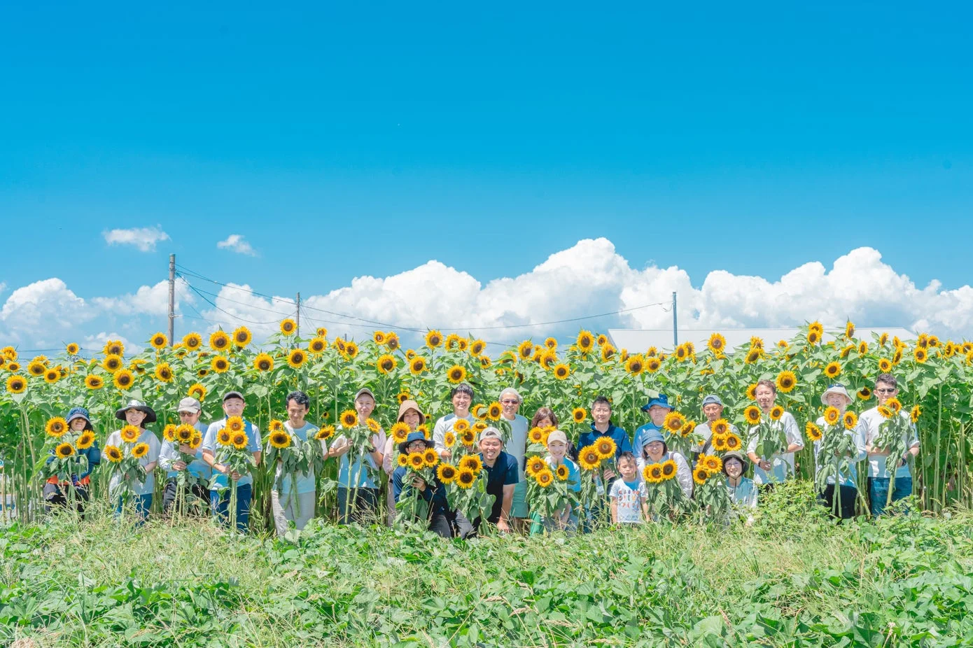ひまわり畑で笑顔を見せる人々