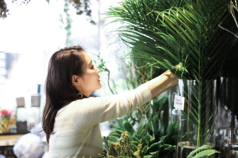 植物をアレンジする女性