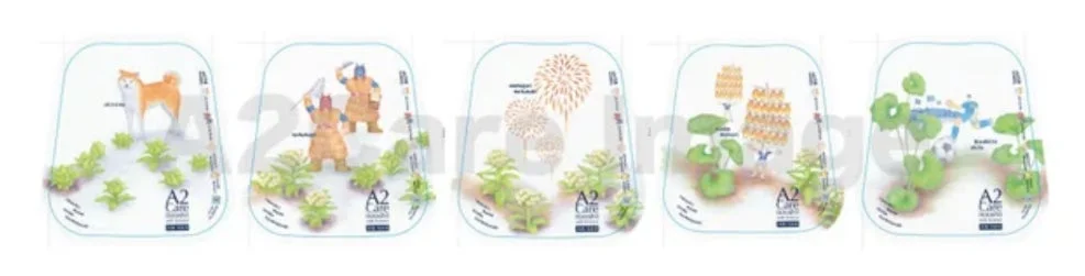 A2Care秋田ボトルデザイン