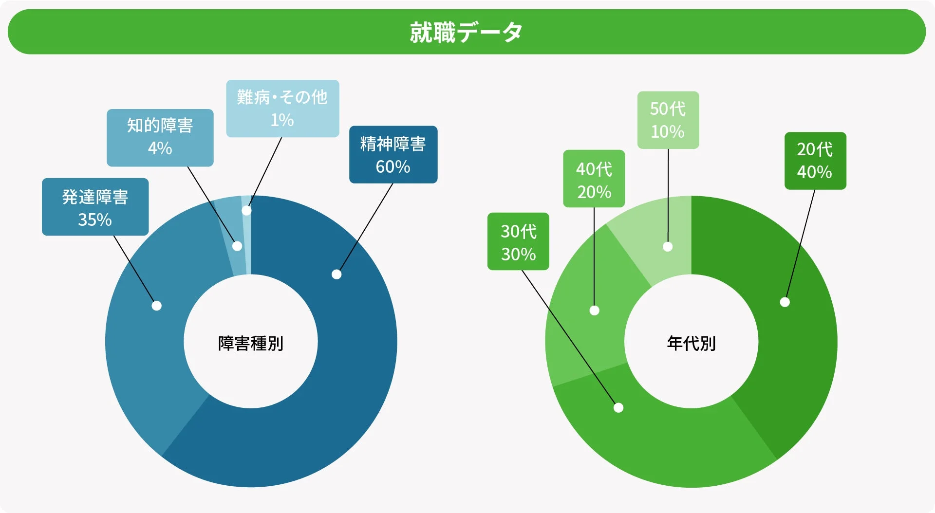 就職データ（障害種別・年代別）