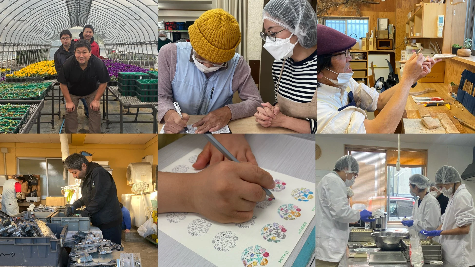 温室での栽培、オフィスワーク、木工、リサイクルなど多様な職業訓練風景