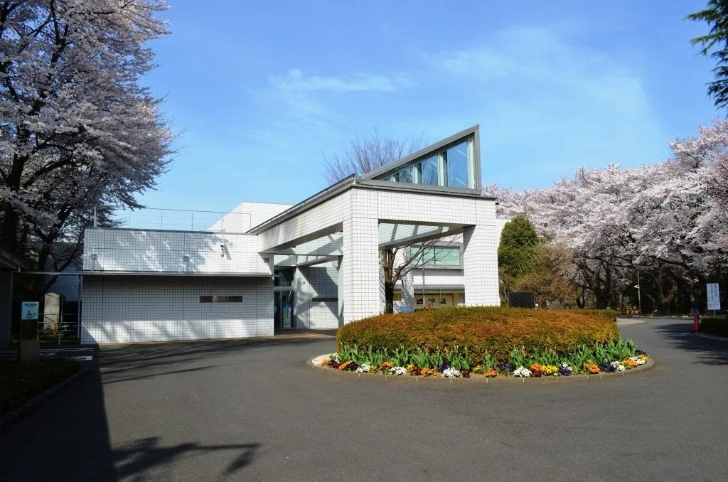 満開の桜に囲まれた近代的な建物と、低木や色鮮やかな花が植えられたロータリーが印象的な春の風景。青空が広がる穏やかな一日を捉えています。