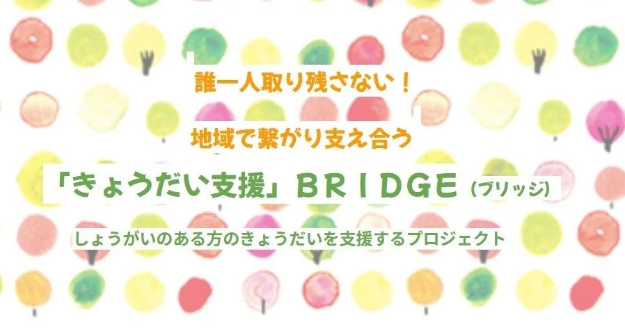 きょうだい支援BRIDGEプロジェクト告知画像