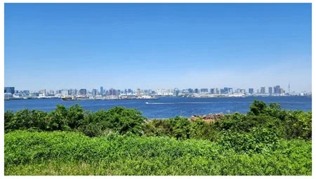 都市と海の風景