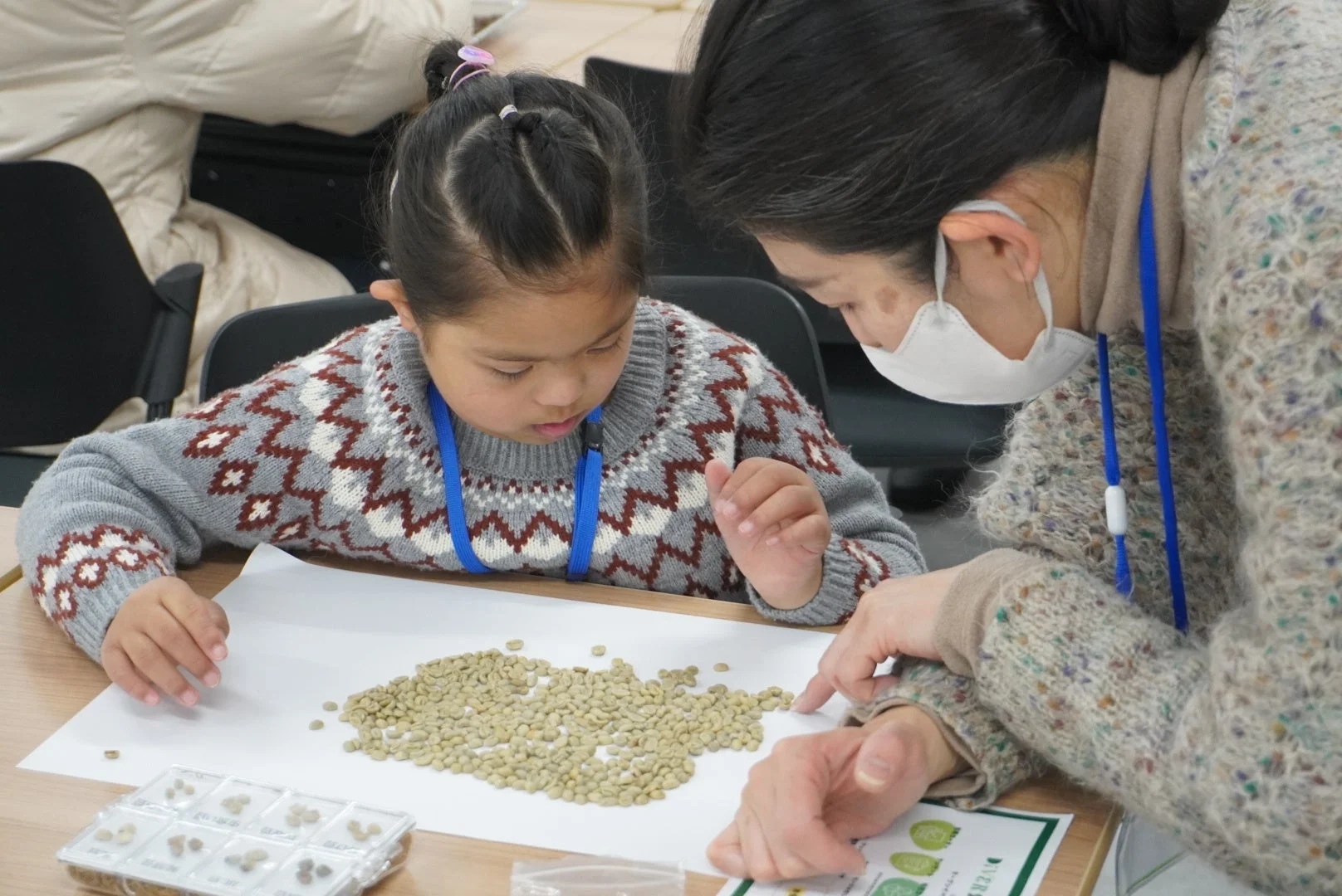 コーヒー豆のハンドピック体験