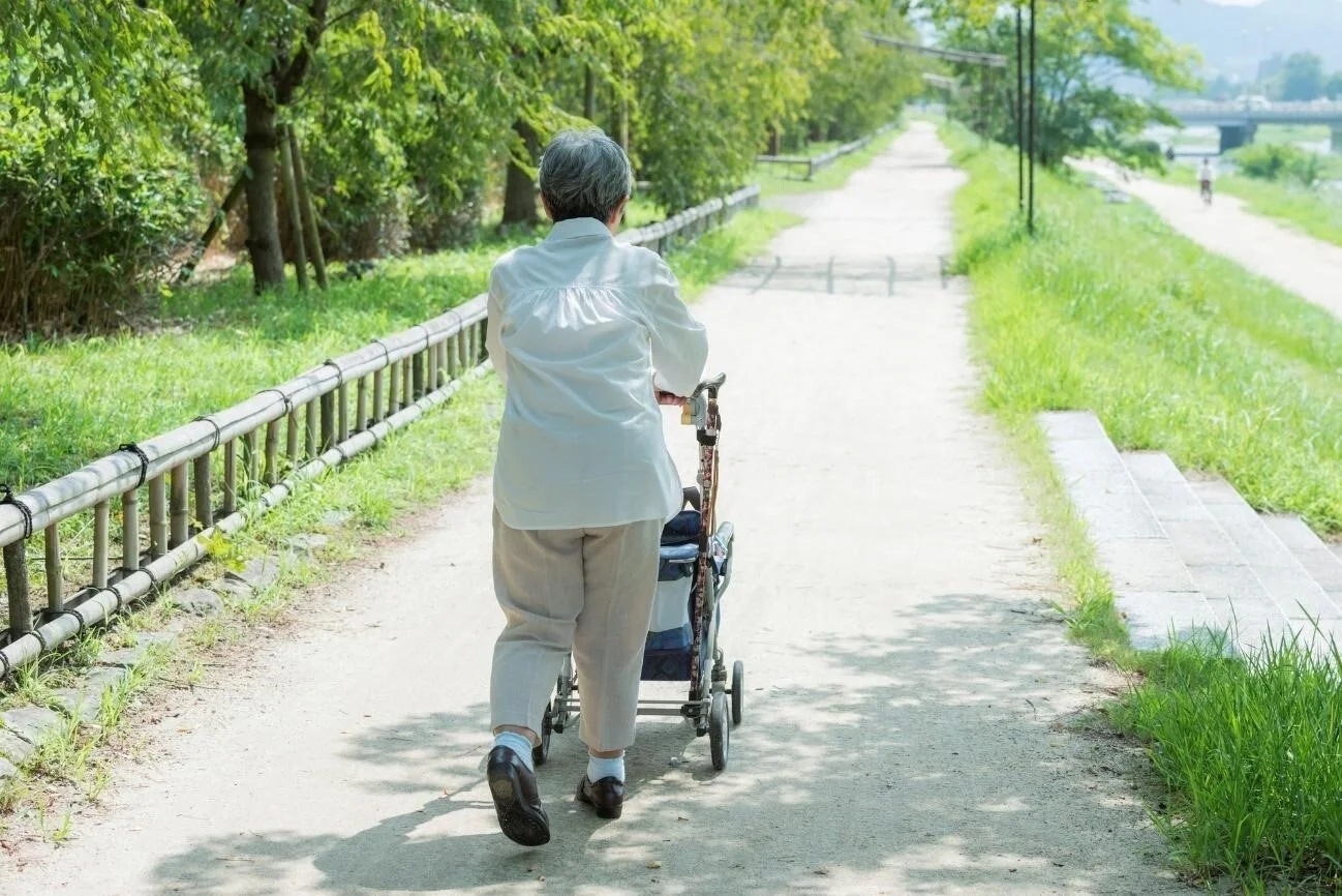 高齢者が緑豊かな川沿いを歩行器を押して散歩する後ろ姿
