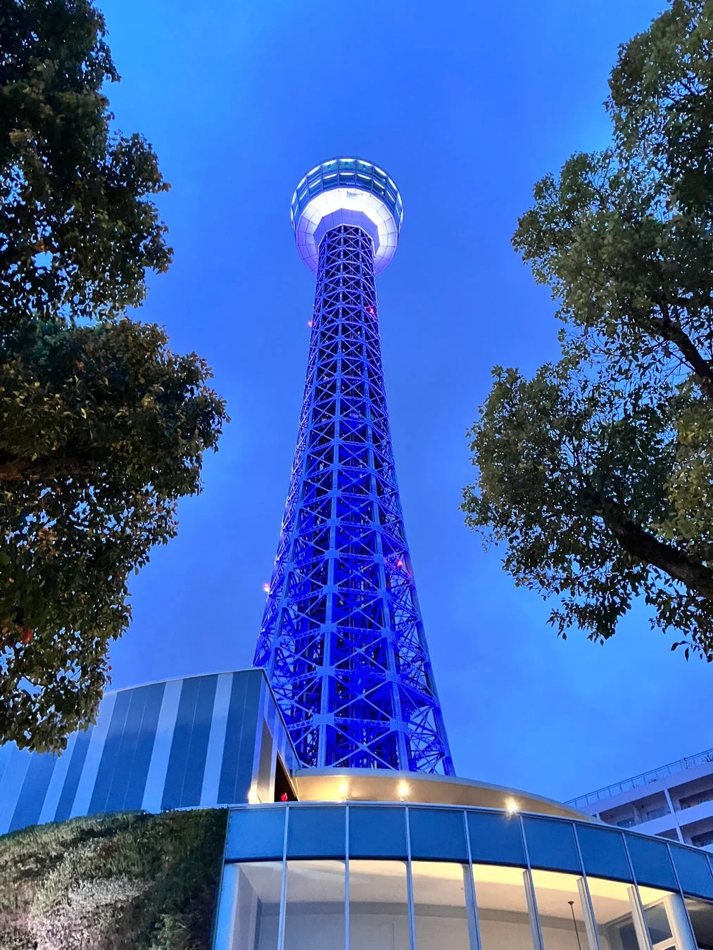 青くライトアップされた横浜マリンタワー