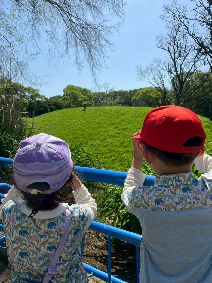 動物園で動物を見る子供たち