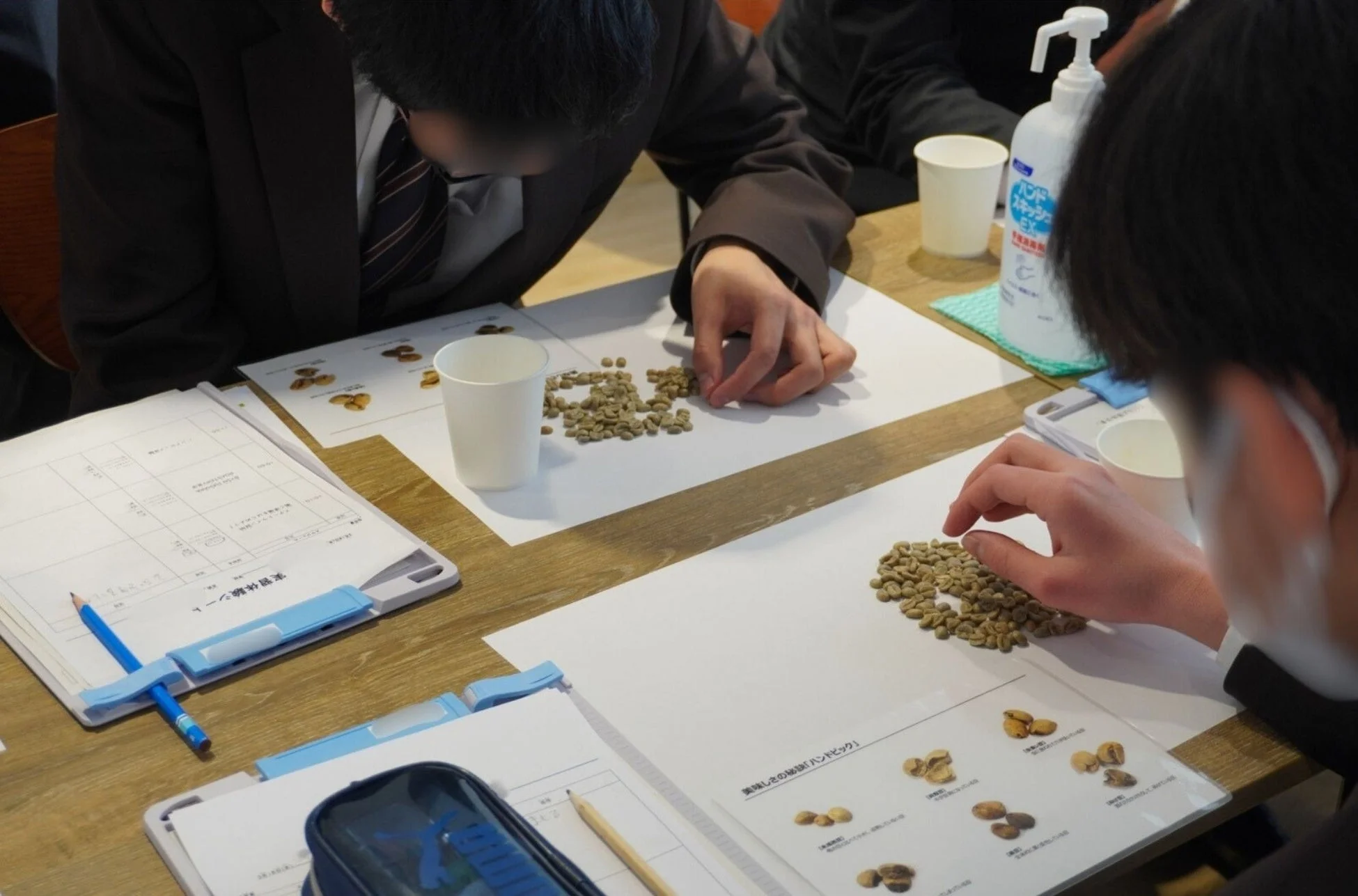 コーヒー豆のハンドピック作業