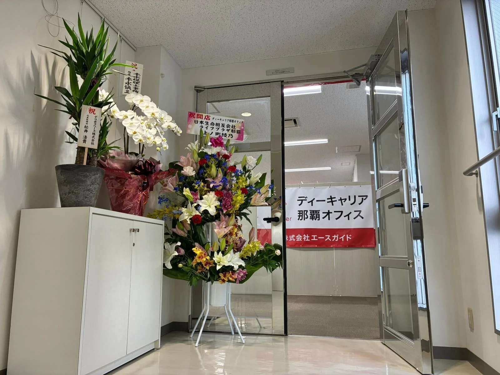開所祝いの胡蝶蘭