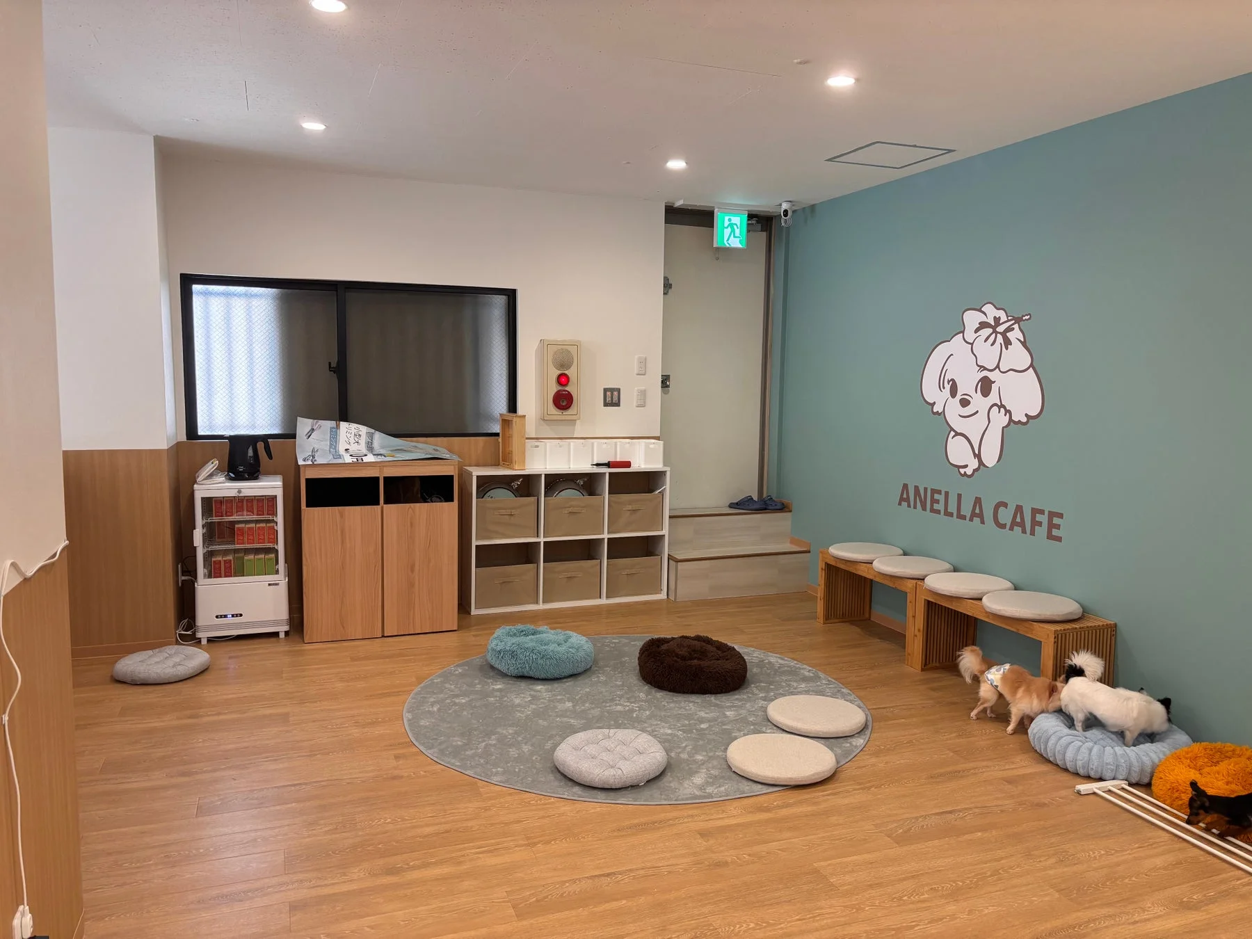 ANELLA CAFEの犬エリア