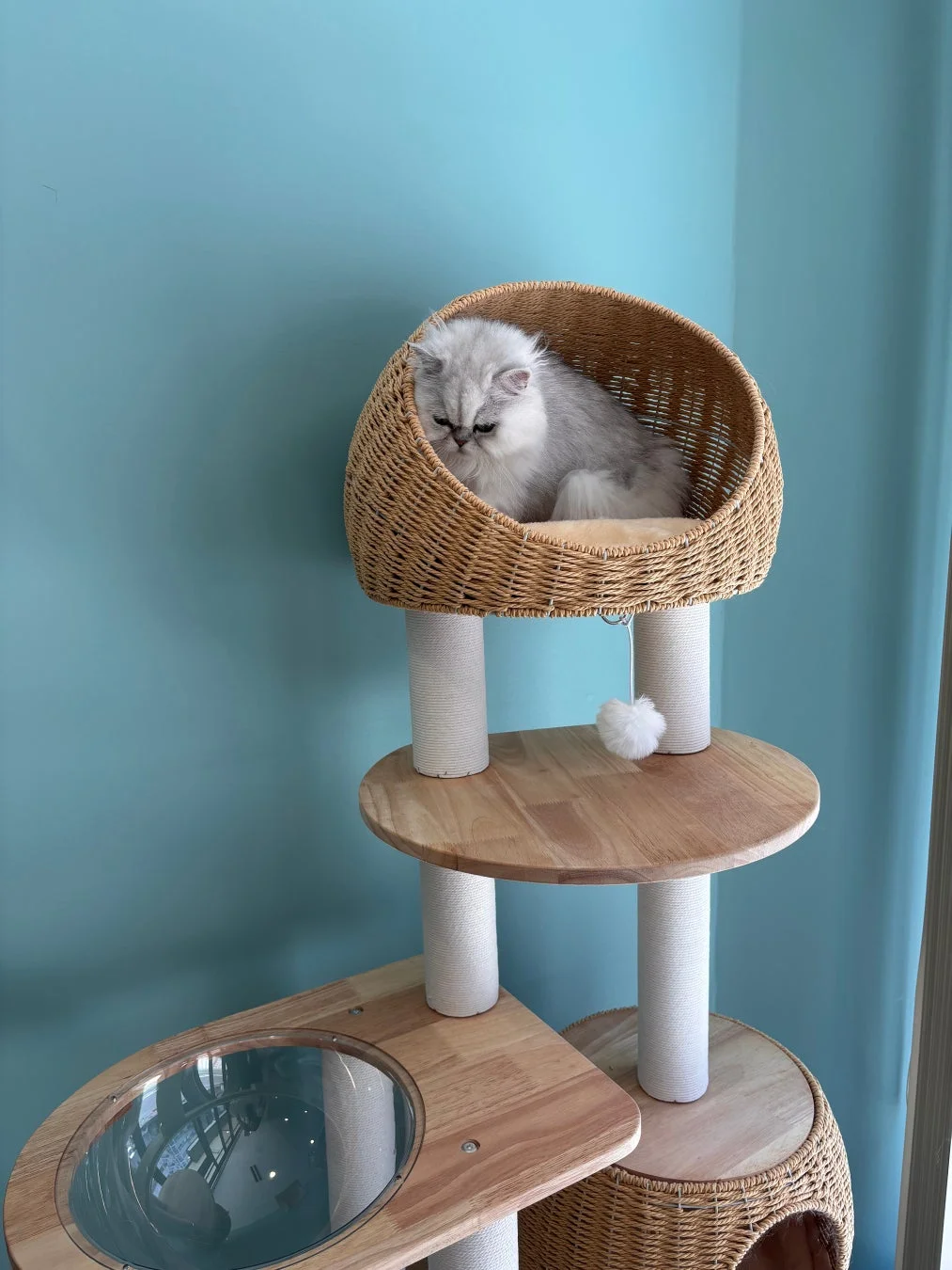 キャットタワーでくつろぐ猫