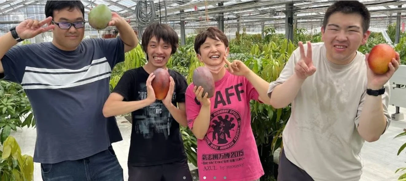 温室でマンゴーを手に笑顔でポーズをとる4人の男女