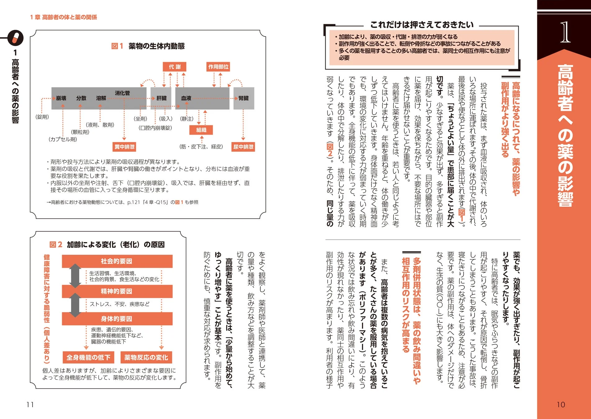 高齢者の体と薬の関係