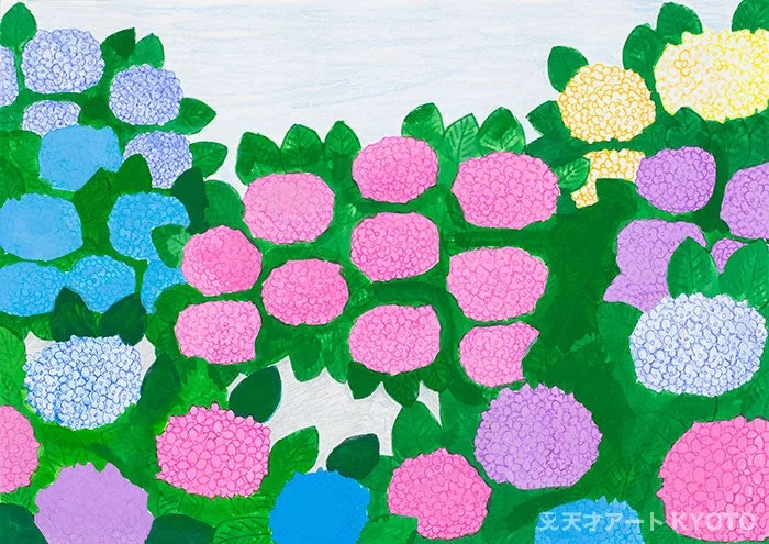 上田彩「(あじさい)アジサイ紫陽花」