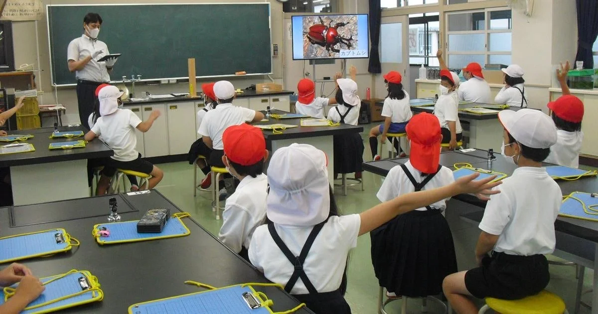 小学校の理科の授業風景