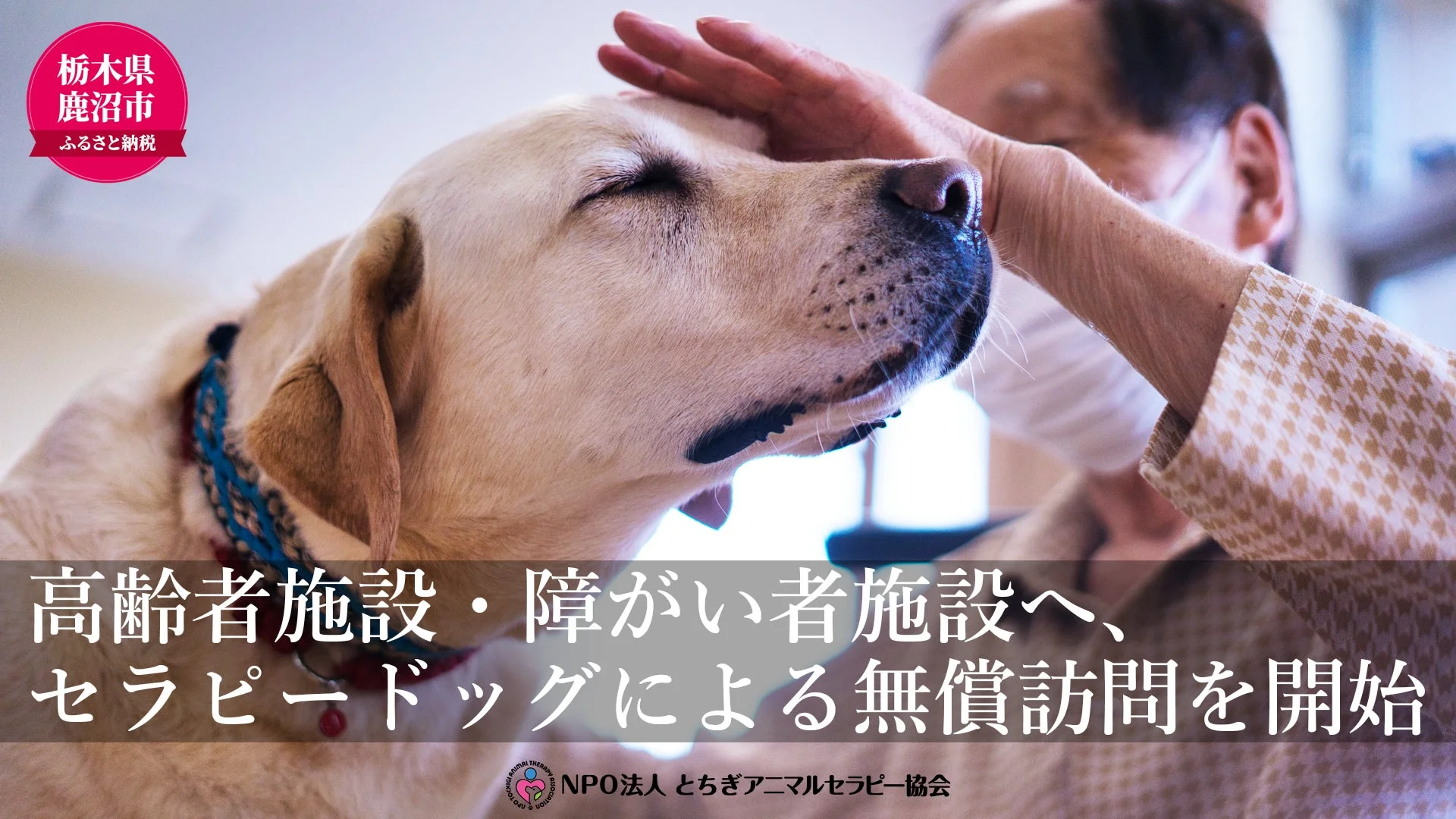 高齢者施設・障がい者施設へ、セラピードッグによる無償訪問を開始