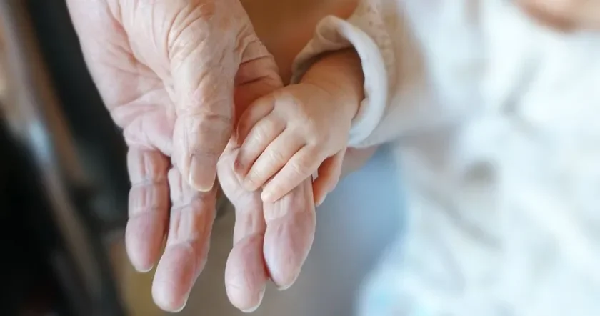 大人の手と赤ちゃんの手が優しく触れ合う様子