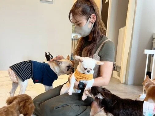 女性と複数の犬